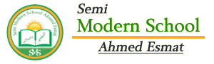 Semi Modern School Ahmed Esmat